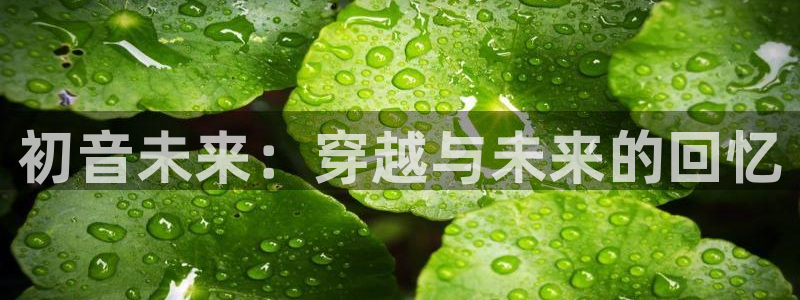 backstage韩漫免费观看