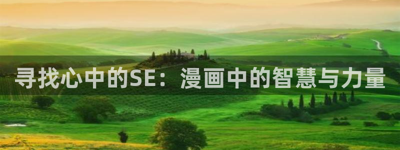 拷贝漫画 copymanager.ory网站
