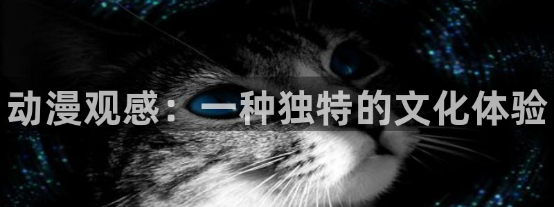 age动漫下载：动漫观感：一种独特的文化体验