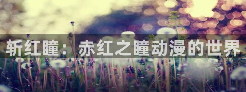 age专注动漫的门户网站