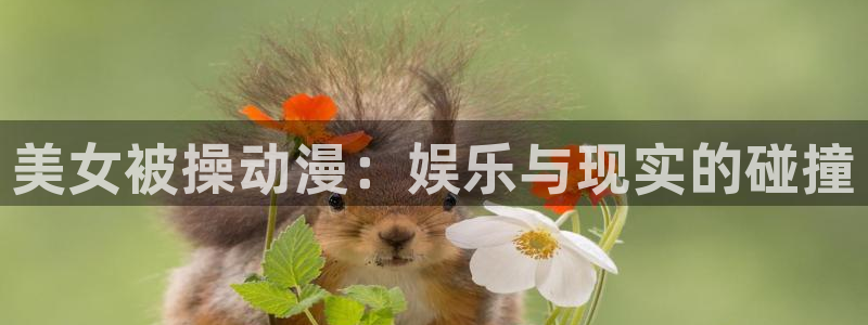age动漫网上看