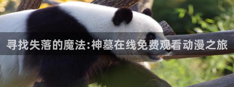 age动漫官网在线入口