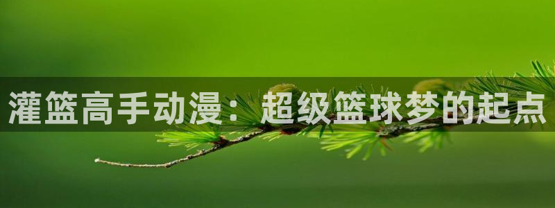 age动漫官网版入口