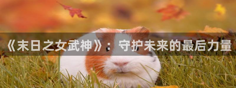 age动漫omofun