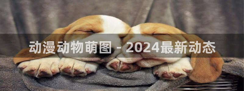 age动漫下载网