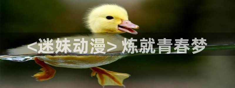 age动漫下载动漫全免费：<迷妹动漫> 炼就青春梦