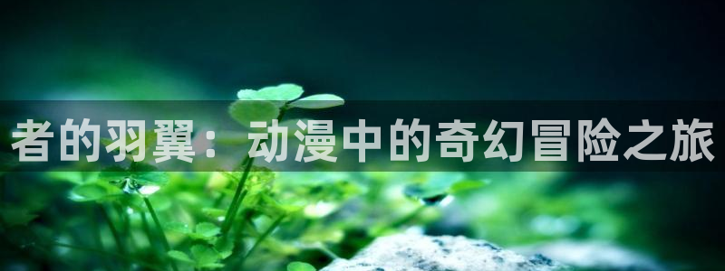 managereader漫画官网入口：者的羽翼：动漫中的奇幻冒险之旅