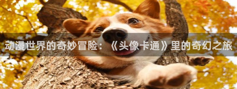 age动漫官网网址