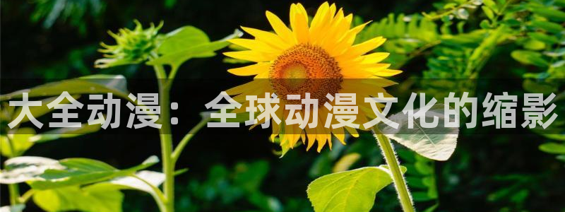 age漫画网