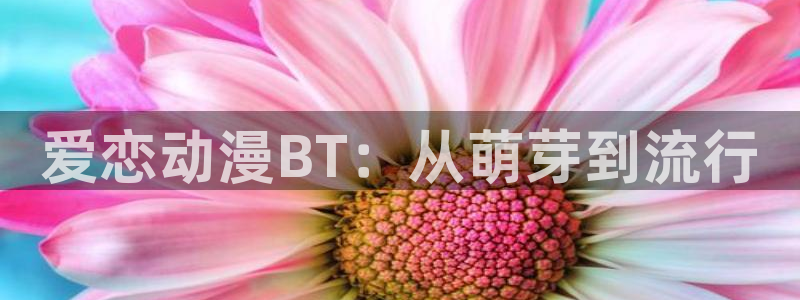 拷贝漫画 copymanager.ory网站：爱恋动漫BT：从萌芽到流行