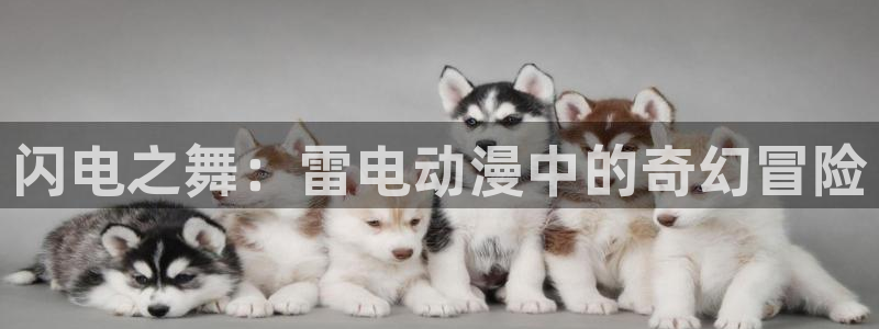 age动漫网下载：闪电之舞：雷电动漫中的奇幻冒险