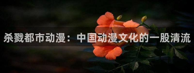 age动漫网
