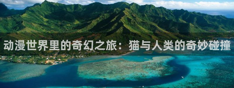 age动漫下载入口