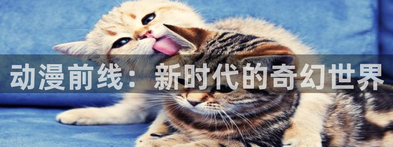 韩国漫画平台kakaopage