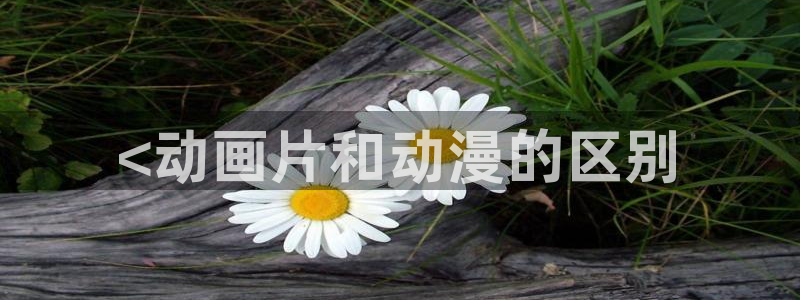 age动漫樱花